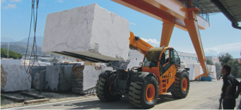 Telehandlers for special applications
